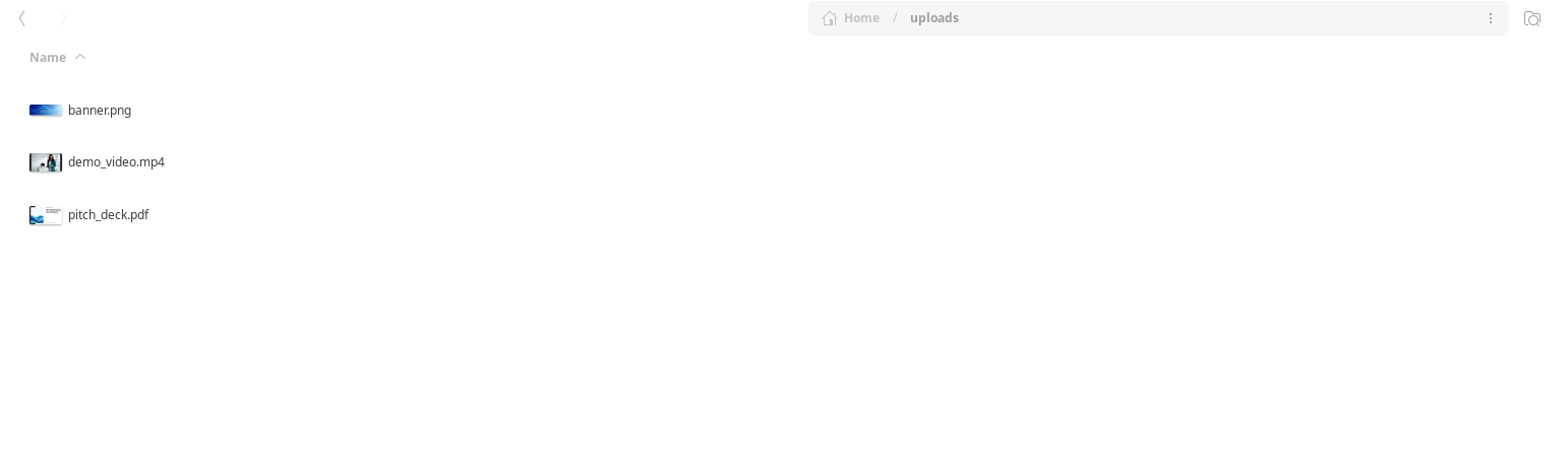 File upload UI showing list of files to process